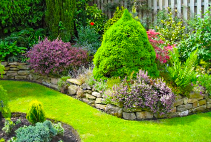 Best landscaping with evergreen trees and shrubs designs ideas pictures and diy plans