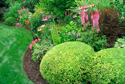 Top 2016 landscaping with evergreen trees and shrubs design ideas photos and diy makeovers