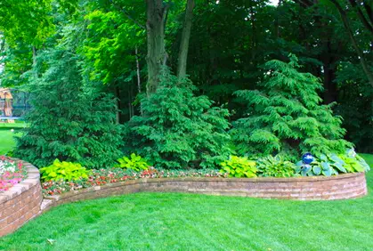 DIY landscaping with evergreen trees and shrubs designs ideas and online 2016 photo gallery