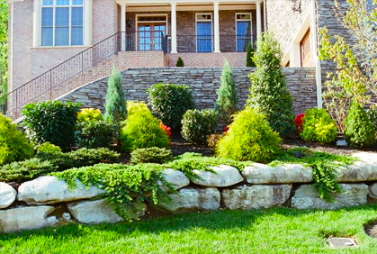 Simple landscaping with evergreen trees and shrubs designs ideas pictures and diy plans