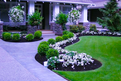 Top front yard landscape design ideas photos and diy makeovers