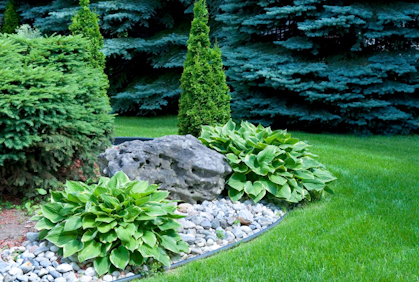 Best landscaping with rocks and stones designs ideas pictures and diy plans