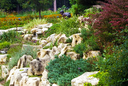 Simple landscaping with rocks and stones designs ideas pictures and diy plans