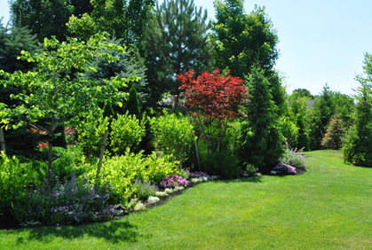 Most popular landscaping with shrubs and bushes pictures with DIY design ideas and DIY plans