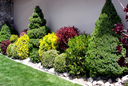 DIY landscaping with shrubs and bushes designs ideas and online 2016 photo gallery
