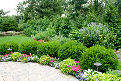 Pictures of landscaping with shrubs and bushes designs ideas and photos