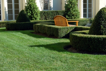 Simple landscaping with shrubs and bushes designs ideas pictures and diy plans