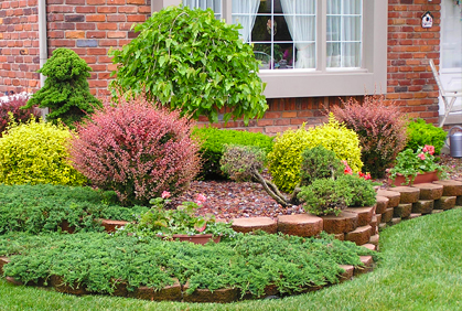 Best types of shrubs and bushes landscape designs ideas pictures and diy plans