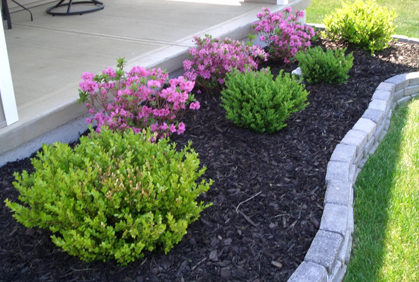 DIY types of shrubs and bushes landscape designs ideas and online 2016 photo gallery
