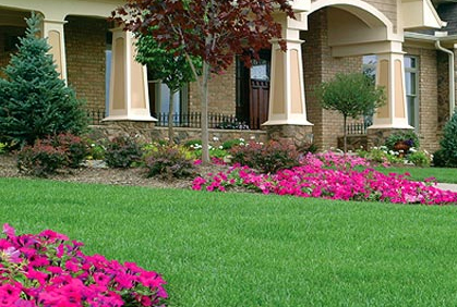 Pictures of shrubs and bushes for landscaping pictures designs ideas and photos