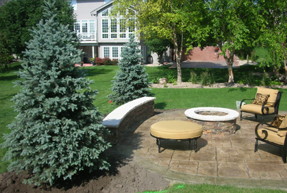 Best trees for landscaping designs ideas pictures and diy plans