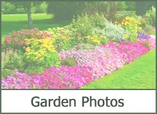 Garden Designs Pictures