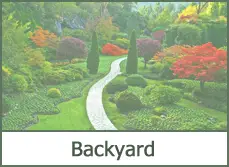 Backyard Landscaping Ideas