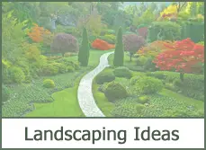 landscape border edging