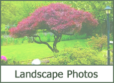Landscape Photo Gallery
