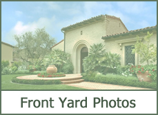 Front Yard Landscaping Photos