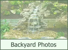 Pictures Backyard Landscape Designs