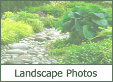 landscaping designs ideas pictures