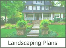 Shrubs for Landscaping Plans