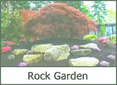 Rock Garden Ideas